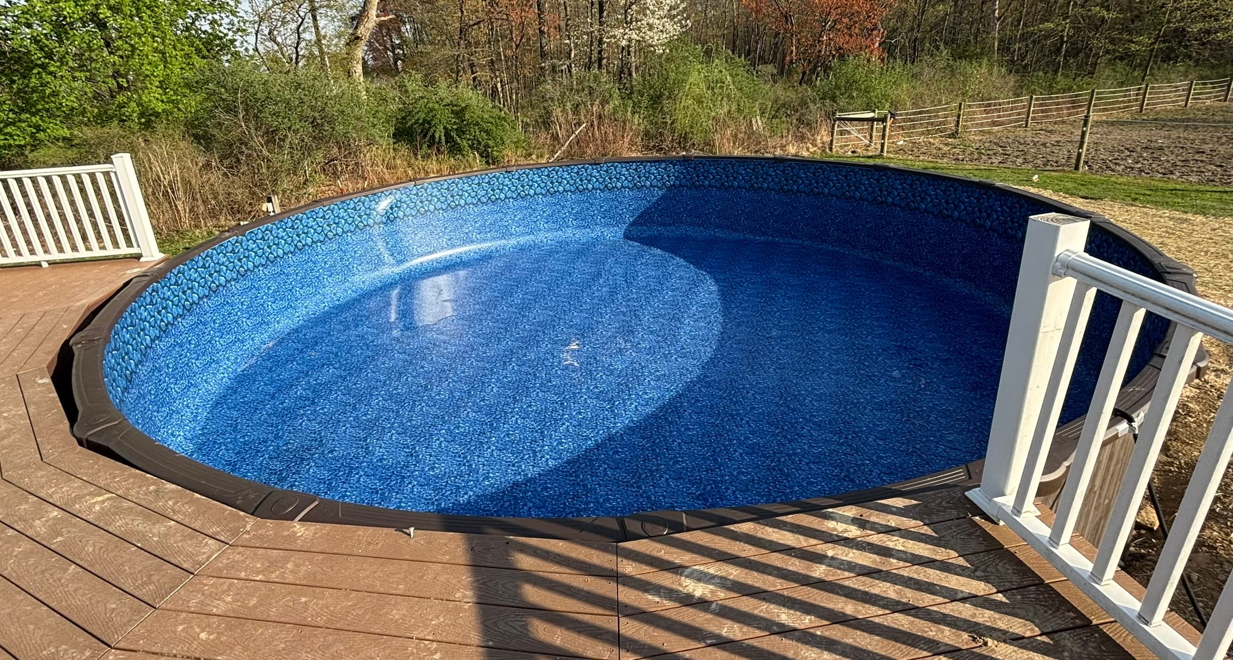 Pool Patrol Pros completed project 5