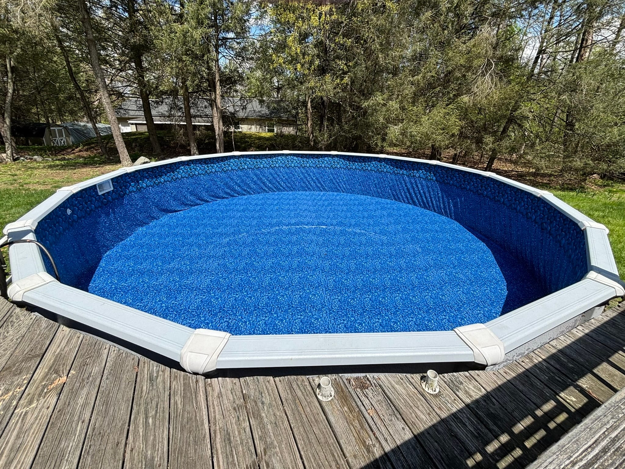 Pool Patrol Pros completed project 10